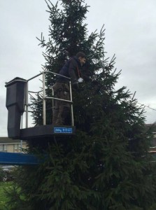 St Raphael's Hospice Tree of Light